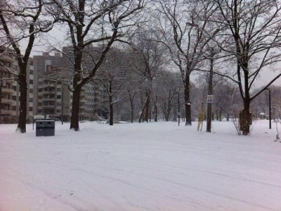 toronto winter