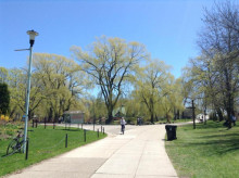 toronot island1