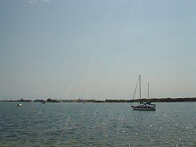 t02200165_0220016512678300315