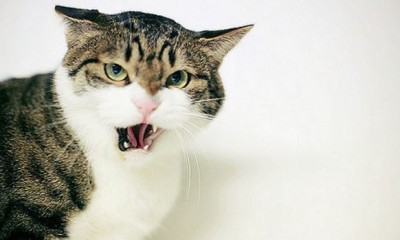 ANGRY